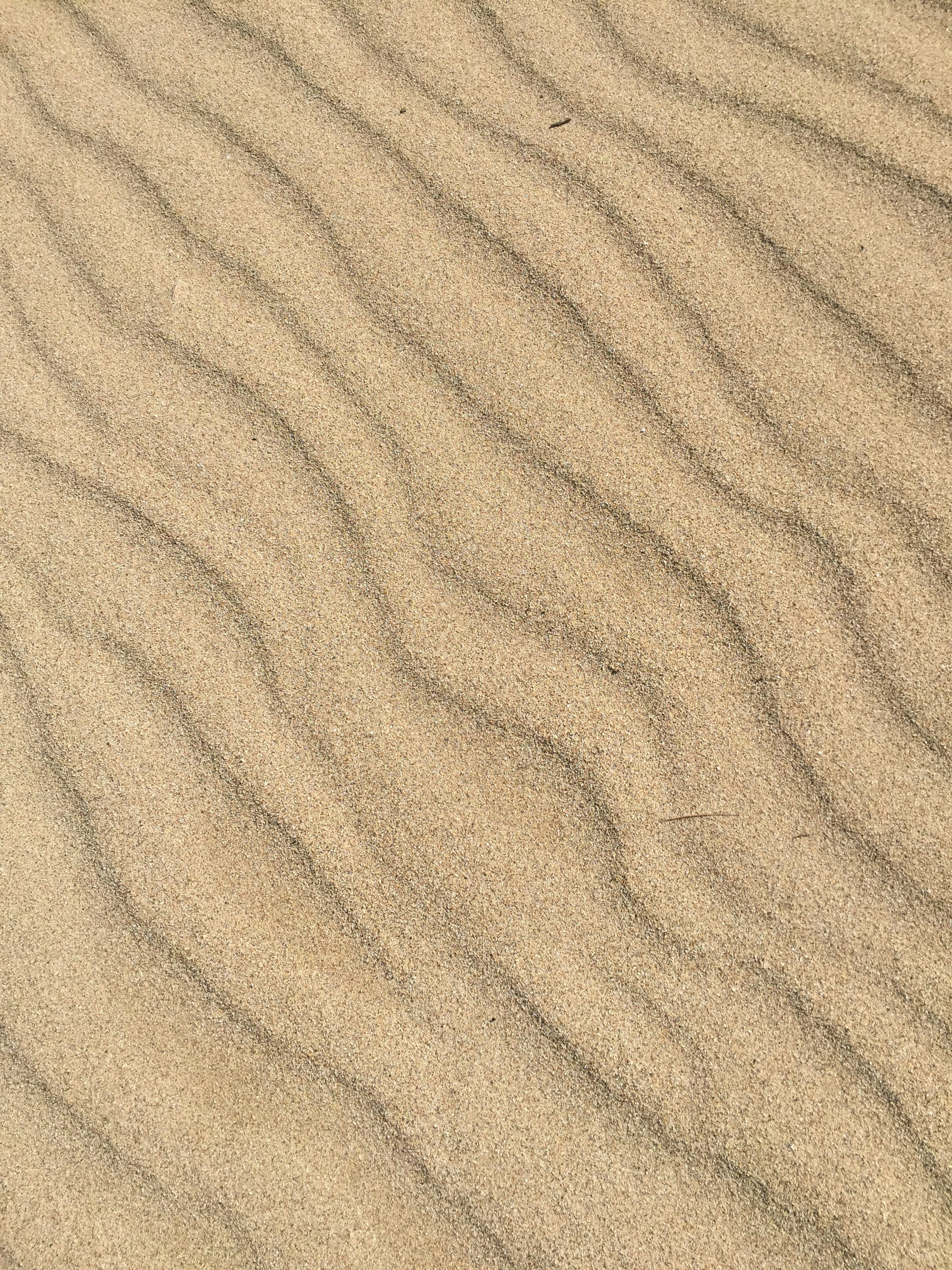 Teachers in professional development workshop