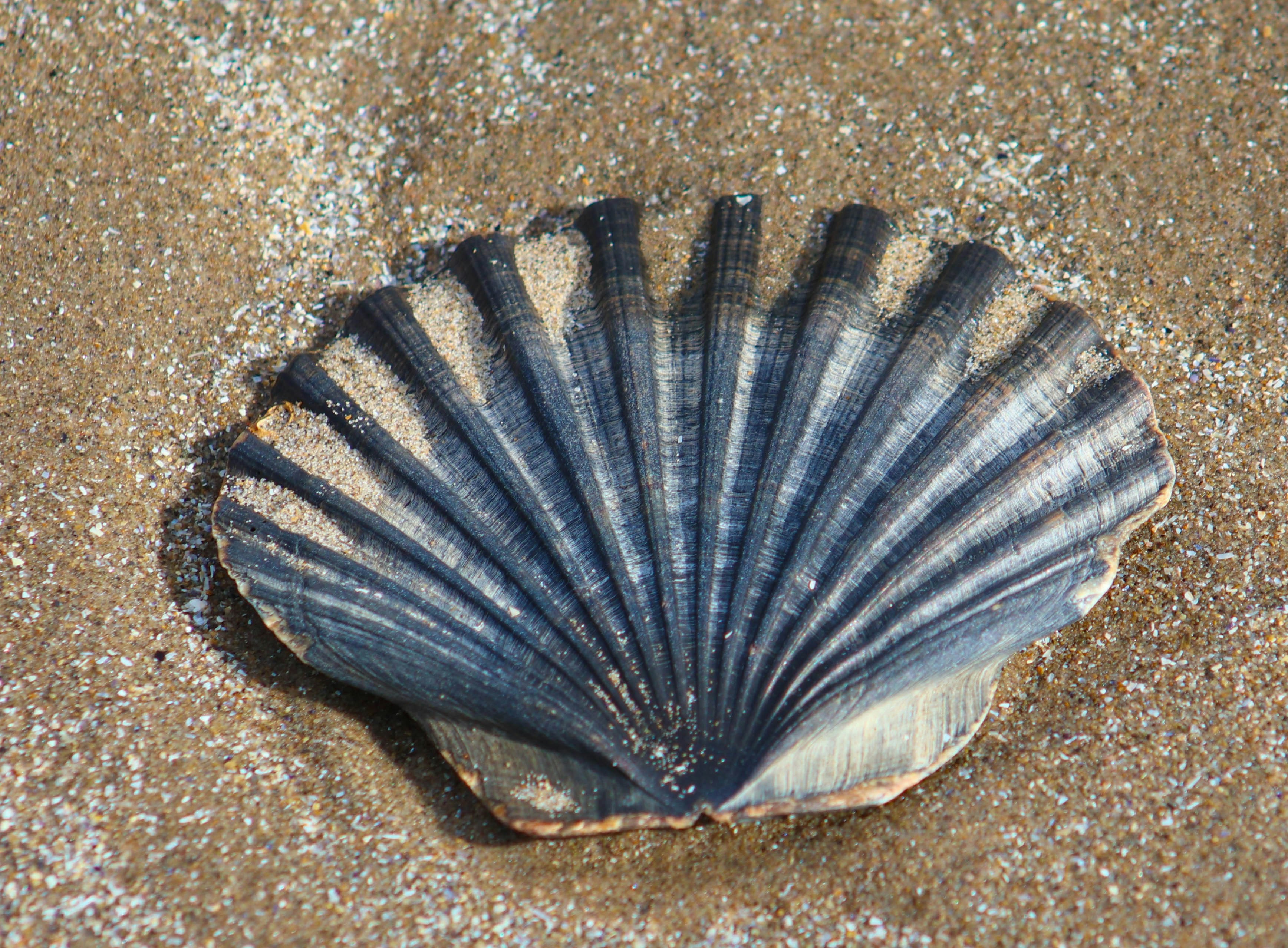 Educational supervision session